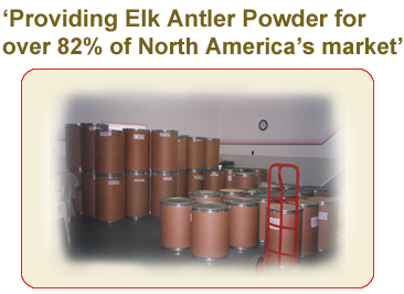 Elk Velvet Antler Powder